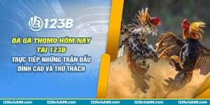 69 da ga thomo hom nay tai 123b truc tiep nhung tran dau dinh cao va thu thach