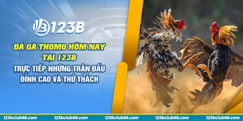 69 da ga thomo hom nay tai 123b truc tiep nhung tran dau dinh cao va thu thach