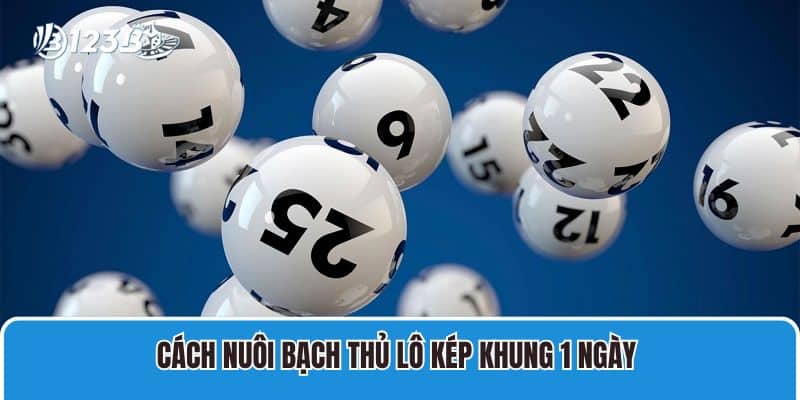 Cách Nuôi Bạch Thủ Lô Kép Khung 1 Ngày Siêu Lãi Tại 123b 3 Cách nuôi bạch thủ lô kép khung 1 ngày