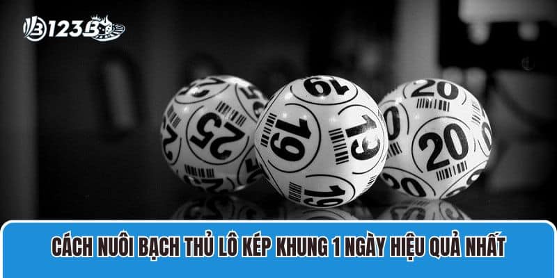 Cách Nuôi Bạch Thủ Lô Kép Khung 1 Ngày Siêu Lãi Tại 123b 4 Cách nuôi bạch thủ lô kép khung 1 ngày hiệu quả nhất