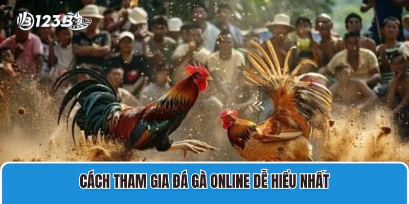 Hướng Dẫn Chi Tiết Tham Gia Đá Gà Trực Tiếp Casino Tại 123B 4 Cách tham gia đá gà online dễ hiểu nhất