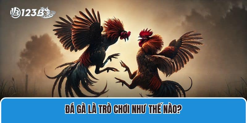 Hướng Dẫn Chi Tiết Tham Gia Đá Gà Trực Tiếp Casino Tại 123B 2 Đá gà là trò chơi như thế nào?