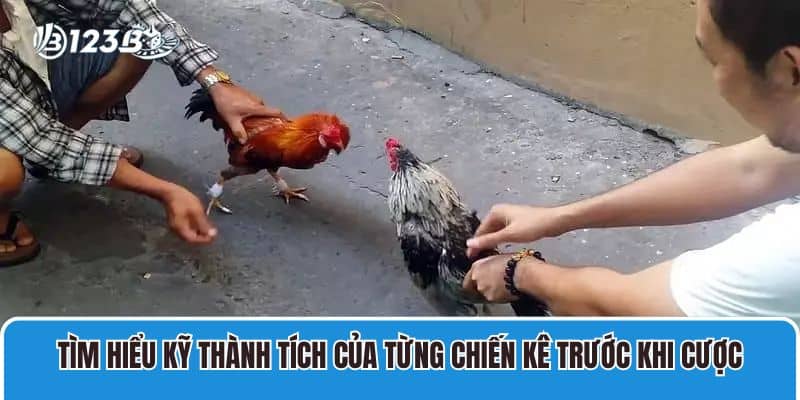 Chia Sẻ Kinh Nghiệm Đá Gà Cựa Sắt Đỉnh Cao Đến Từ Chuyên Gia 4 Tìm hiểu kỹ thành tích của từng chiến kê trước khi cược