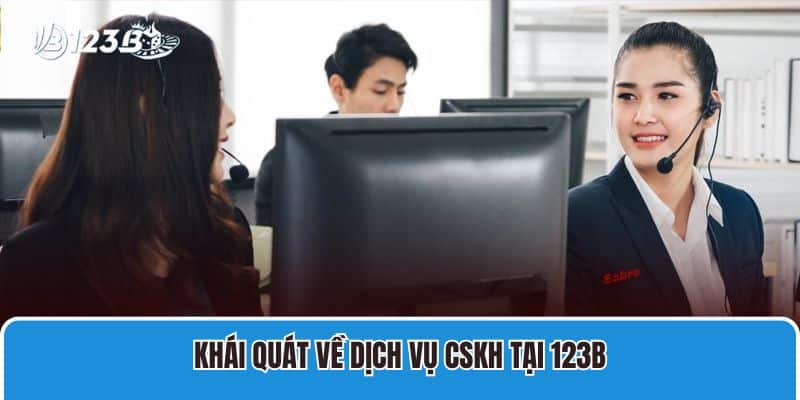 Liên Hệ 1 Khái quát về dịch vụ CSKH tại 123B