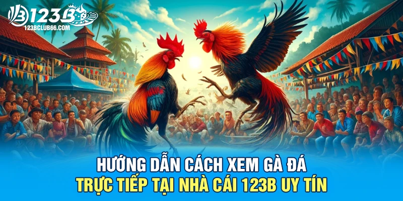 Gà Đá Trực Tiếp 123B