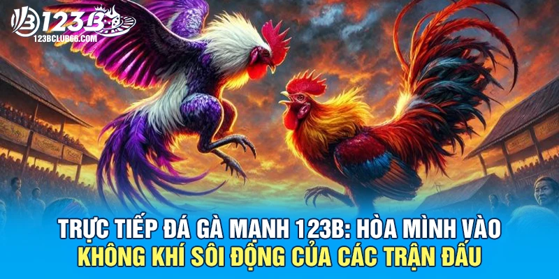 Trực tiếp đá gà mạnh 123B: Hòa mình vào không khí sôi động của các trận đấu 1 Trực tiếp đá gà mạnh 123B