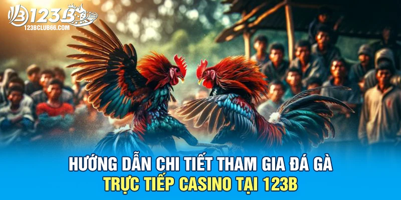 Hướng Dẫn Chi Tiết Tham Gia Đá Gà Trực Tiếp Casino Tại 123B 1 Đá Gà Trực Tiếp Casino 123B