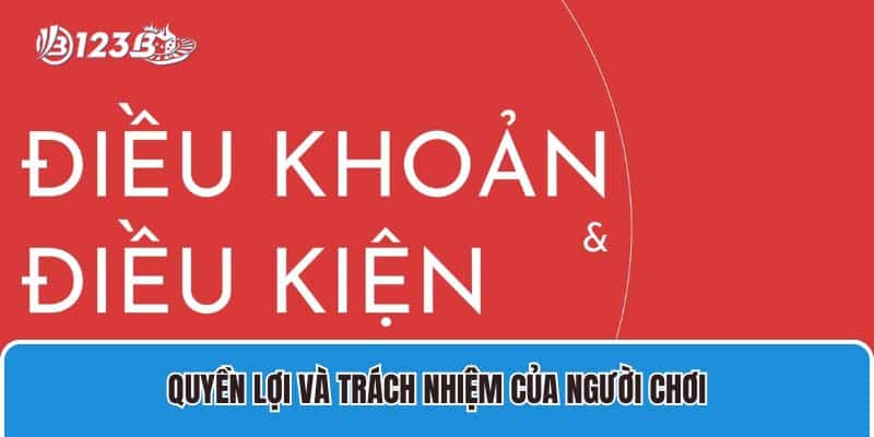Điều kiện điều khoản 3 Quyền lợi và trách nhiệm của thành viên khi cá cược